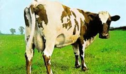 No. 50: ‘Atom Heart Mother’ suite