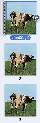 atom heart mother cow strip images