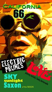 electric prunes tour poster